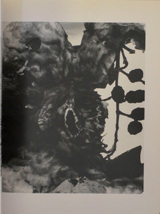Akt-Tokyo 1971 - 1991