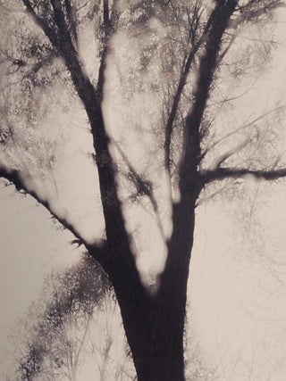 Kenneth Josephson: A Retrospective (Signed First Edition)