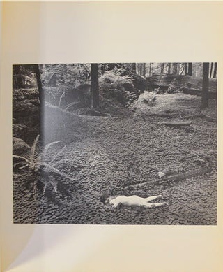 Wynn Bullock (Signed First Edition)