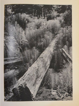 Wynn Bullock (Signed First Edition)