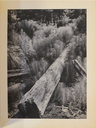 Wynn Bullock (Signed First Edition)