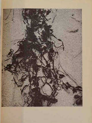 Time in New England (Signed First Edition)