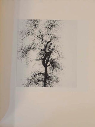 Photographs