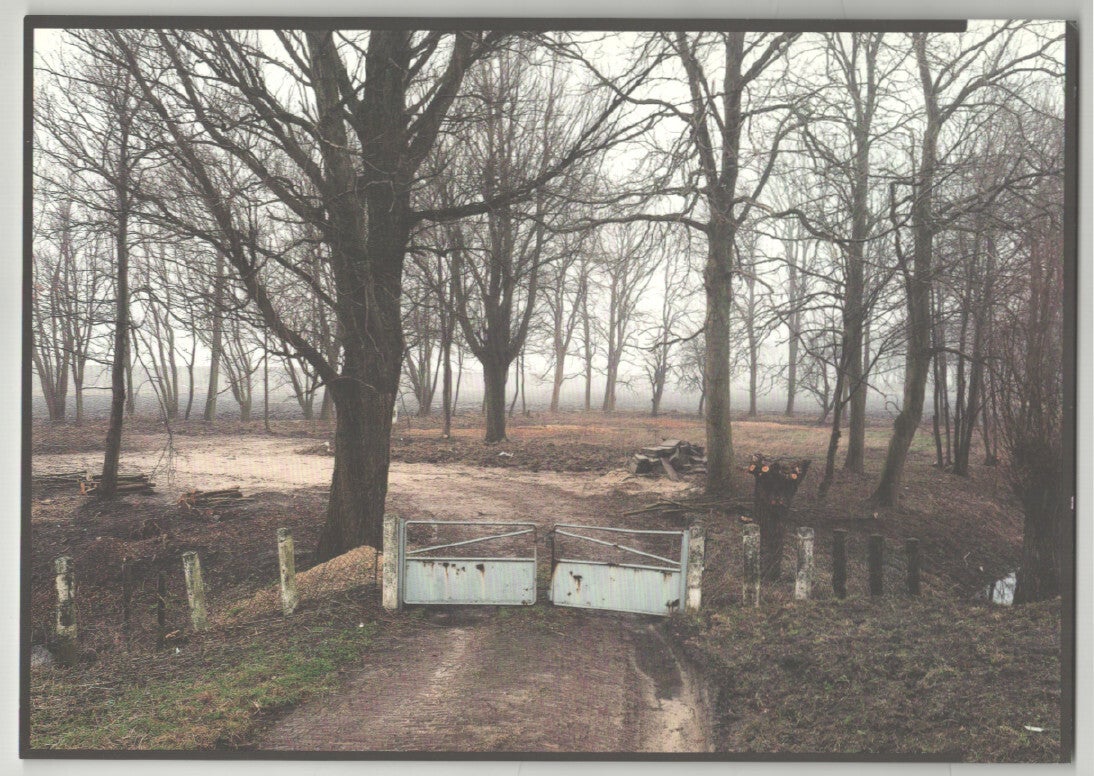 Jem Southam: New Photographs from the Painter