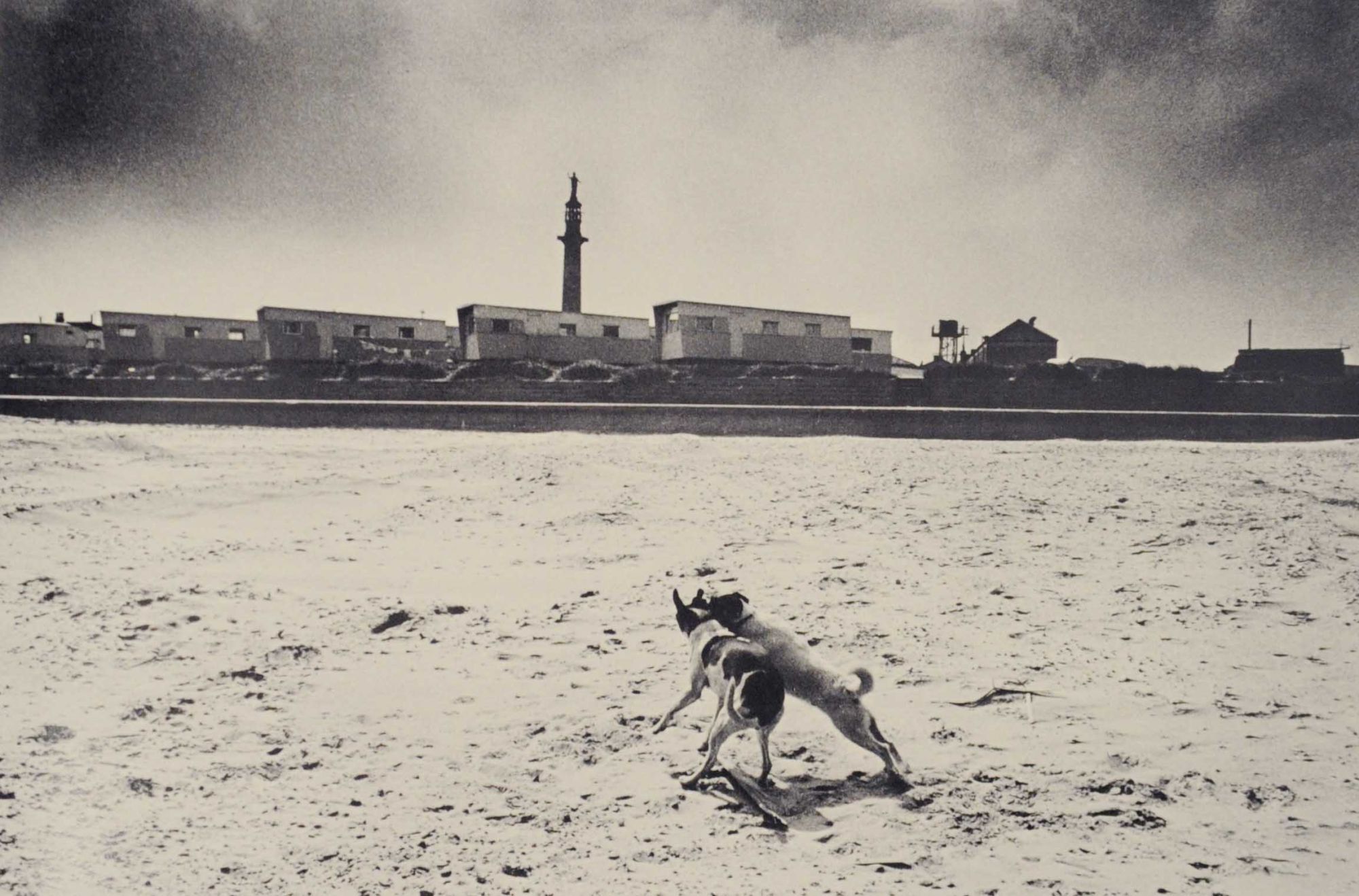 A Day Off | Tony RAY-JONES