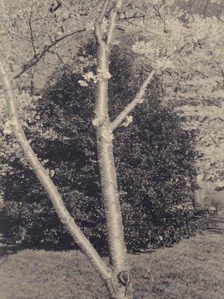Flowers and Trees