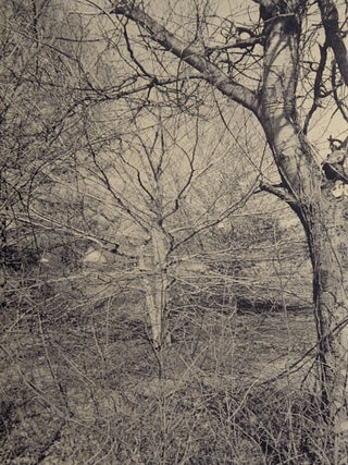 Flowers and Trees