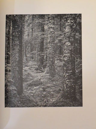 These We Inherit: The Parklands of America