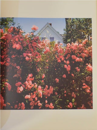 A Summer's Day (Signed First Edition)