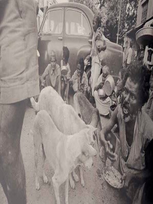 Photographs of Mother Teresa's Missions of Charity in Calcutta: Untitled 39 (Signed First Edition)