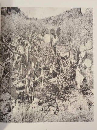 The Desert Seen (Signed First Edition)