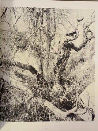 The Desert Seen (Signed First Edition)