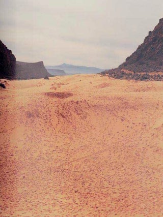 Richard Misrach: Photographs 1975-1987