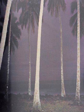 Richard Misrach: Photographs 1975-1987