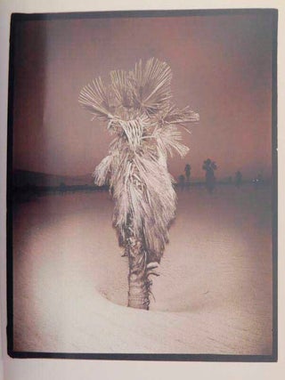 Richard Misrach: Photographs 1975-1987