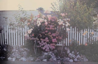 Wild Flowers