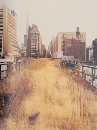 Walking The High Line