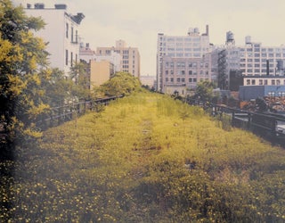 Walking The High Line