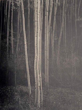 The Eloquent Light (Signed)