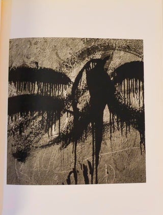 Aaron Siskind 100
