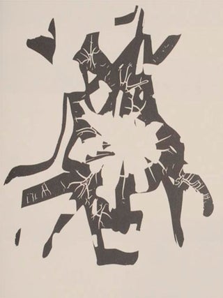 Black Noise (Signed First Edition)