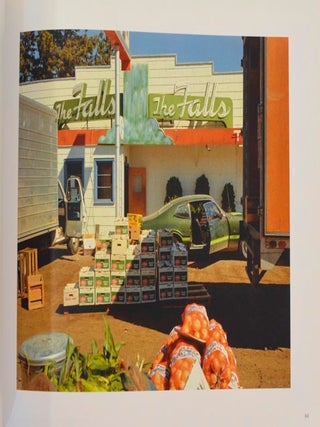 Stephen Shore