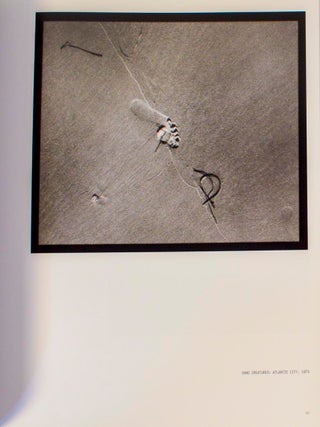 Light Lines (Signed First Edition)