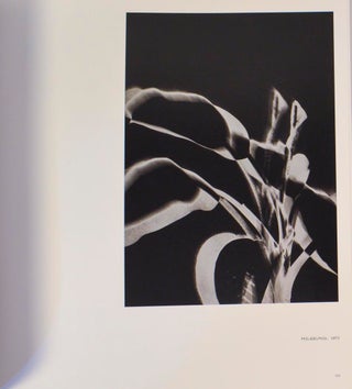 Light Lines (Signed First Edition)