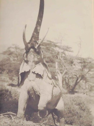 Longing For Darkness: Kamante's Tales From Out Of Africa