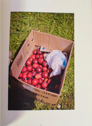 The Auckland Project (Signed First Edition)