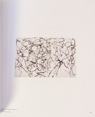 Plane Image: A Brice Marden Retrospective (Signed First Edition)