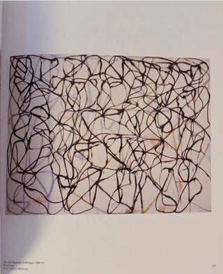 Plane Image: A Brice Marden Retrospective (Signed First Edition)