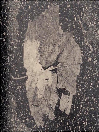 Toki - Moment (Signed First Edition)