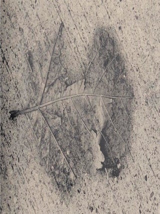Toki - Moment (Signed First Edition)
