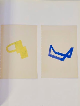 The Art of Richard Tuttle