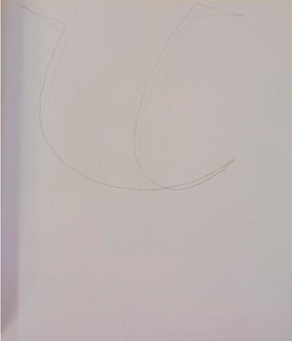 The Art of Richard Tuttle