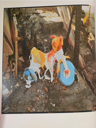 1991: The Oakland-Berkeley Fire Aftermath (Signed Limited Edition)