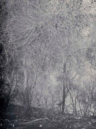 Joe Deal: Southern California Photographs, 1976-86
