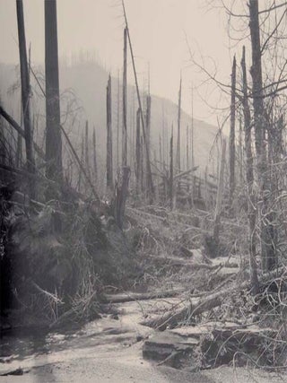 Mount St. Helens (Signed First Edition)
