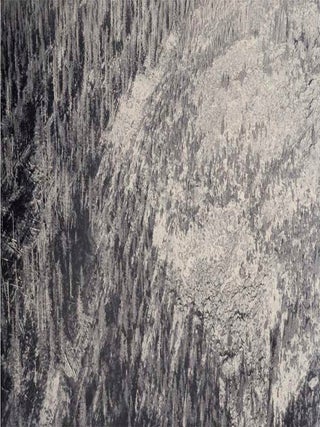 Mount St. Helens (Signed First Edition)