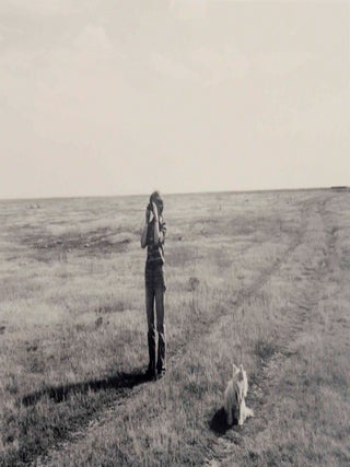 A Portrait In Landscapes (Signed)