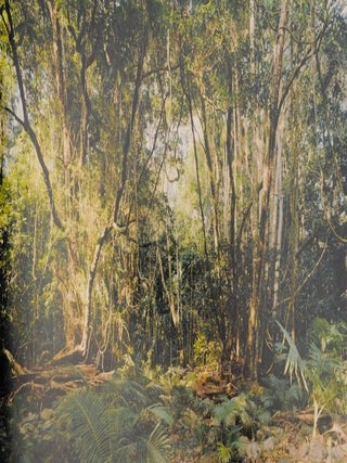 Thomas Struth 1977-2002