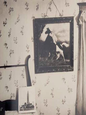 Photographs & Words