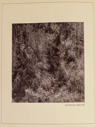 1967 Photographs by Harry Callahan