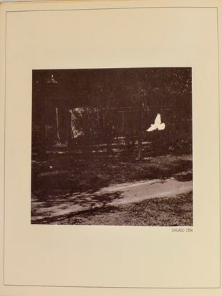 1967 Photographs by Harry Callahan