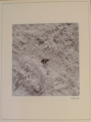 1967 Photographs by Harry Callahan