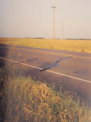 On This Site: Landscape in Memoriam
