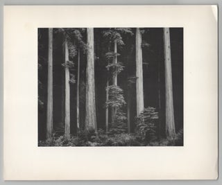 Item #211469 Ansel Adams. Ansel ADAMS