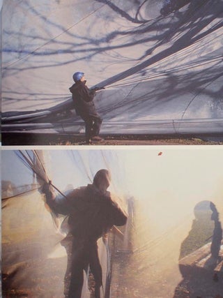 Wrapped Trees: Fondation Beyeler and Berower Park, Riehen, Basel, Switzerland, 1997-98 (Signed Limited Edition)