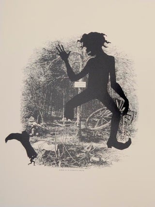 Kara Walker: Harper's Pictorial History of the Civil War (Annotated)